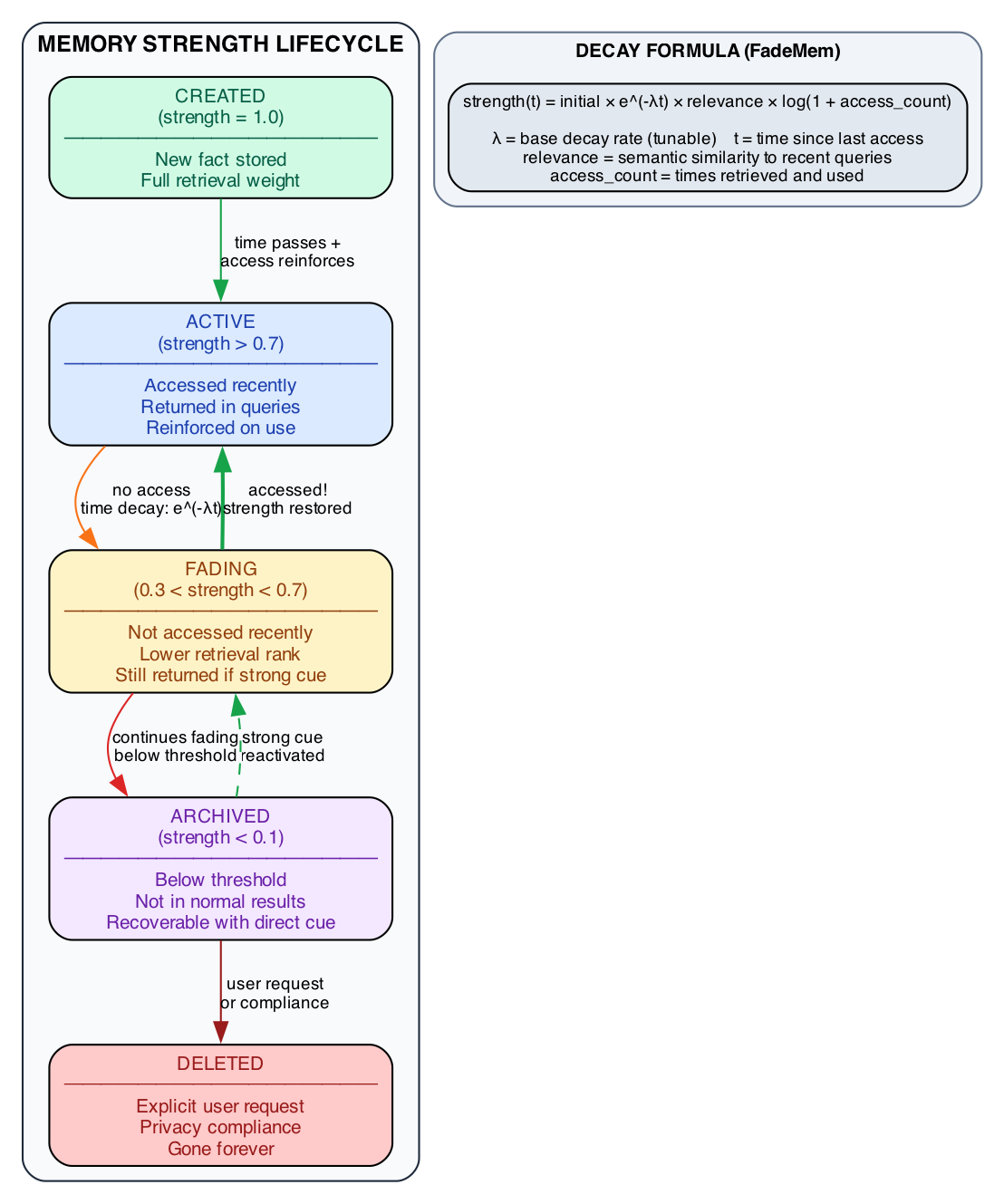 Memory Strength Lifecycle