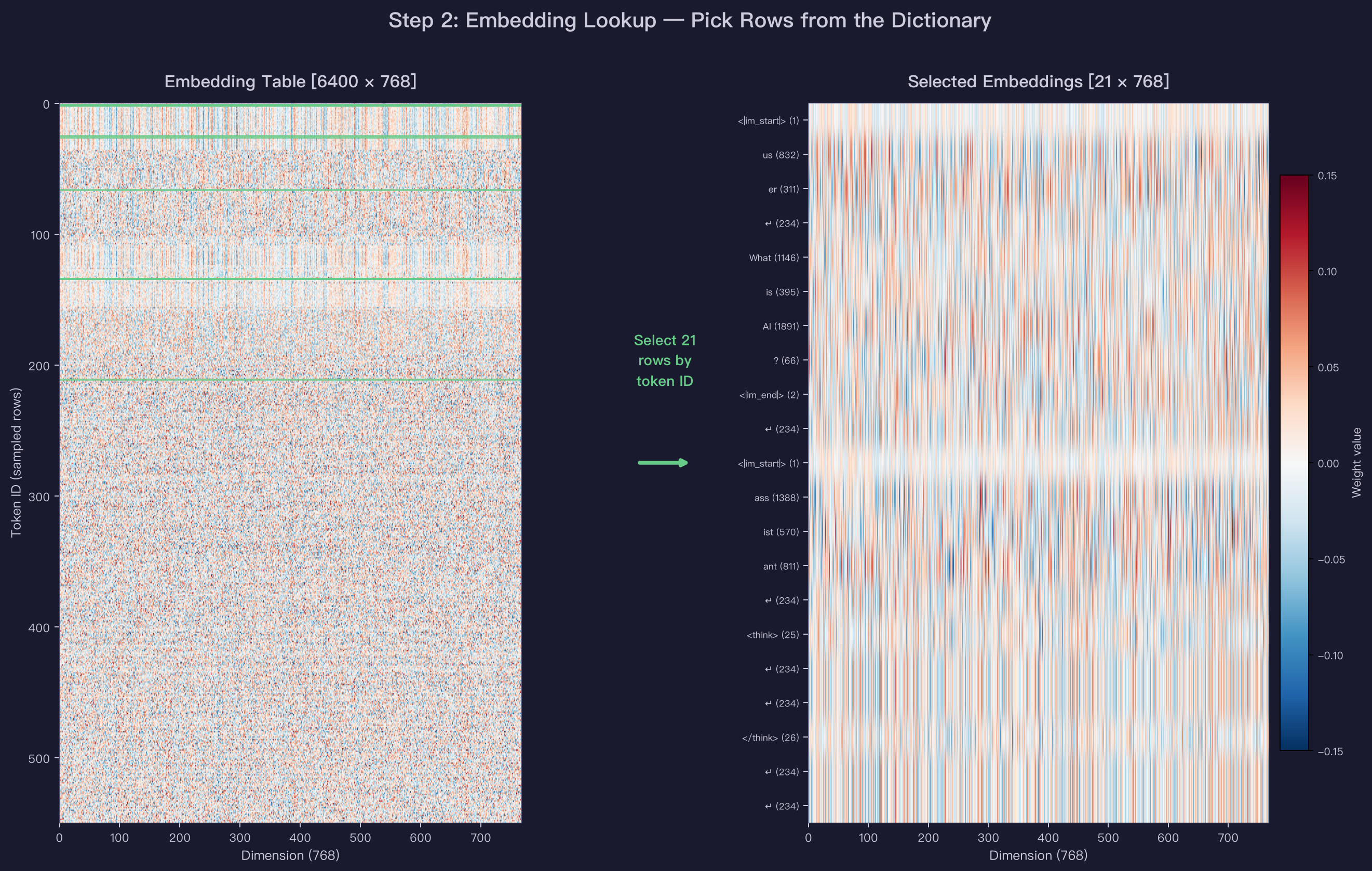 Embedding Lookup
