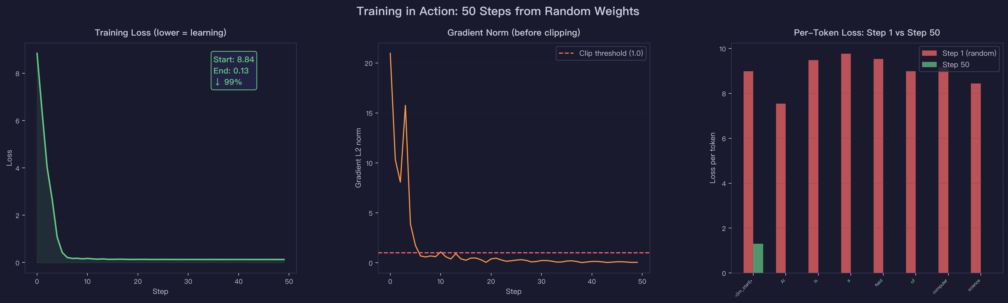 Training Steps